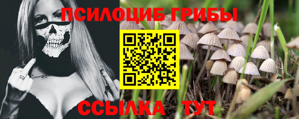 Псилоцибиновые грибы прущие грибы  Вход с VPN  Галлюциногенные грибы Cubensis  Томск 